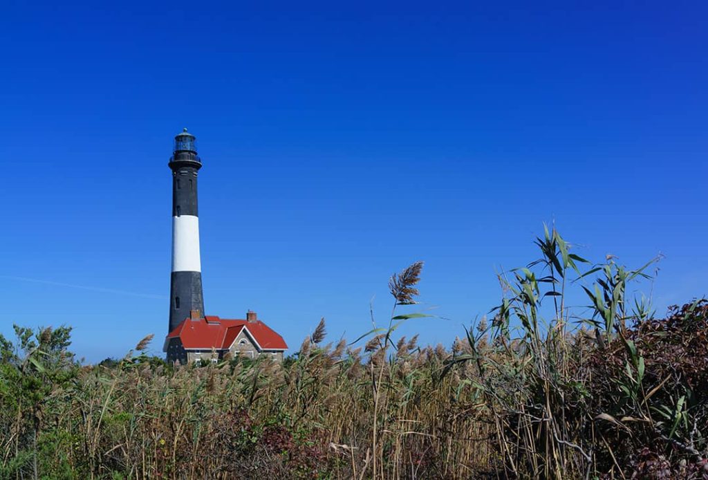 Fire Island lighthouse seen from a reed grass field, Long Island, New York (2017)