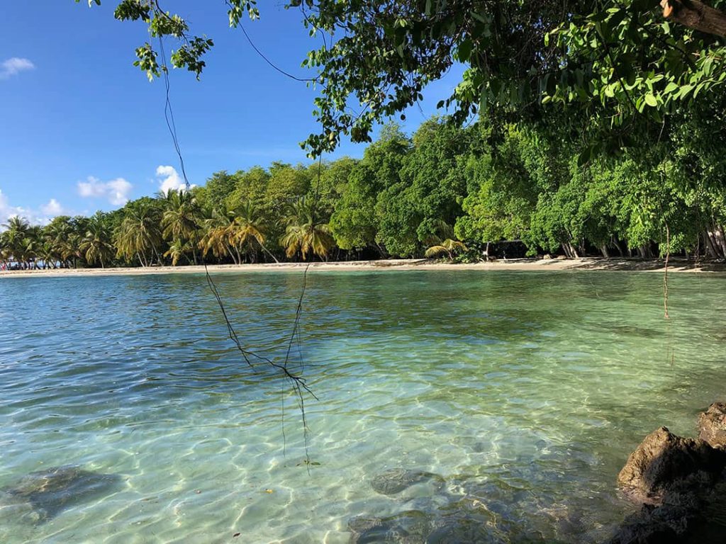 Crystal clear waters from the Gelliceaux Beach in Mustique, Saint Vincent and the Grenadines (2018)