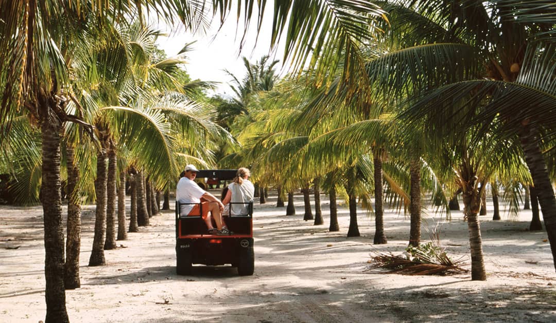 People on what it looks like a small vehicle on their way to Macaroni Beach, Mustique, Saint Vincent and the Grenadines (2012)